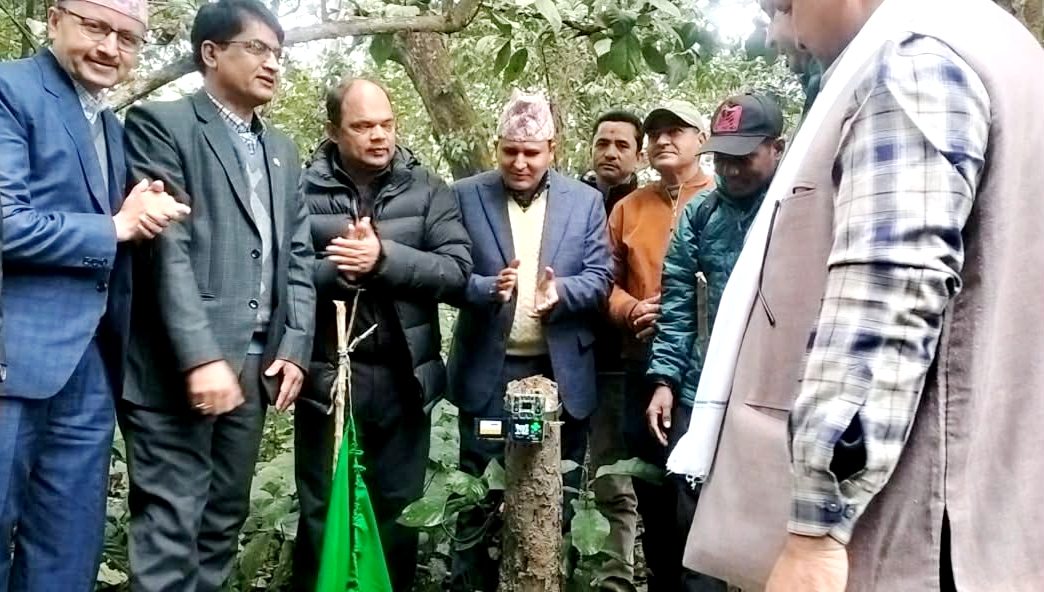 बर्दिया र बाँके निकुञ्जमा पाटेबाघ गणना सुरु