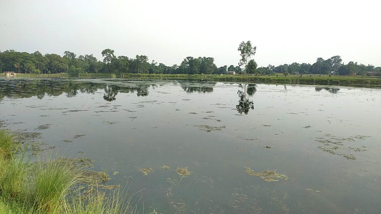 पर्यटनको प्रचुर सम्भावना बोकेको अर्नहुवा ताल