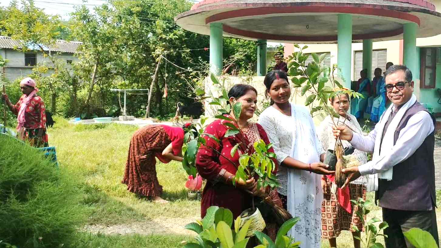 माया नर्सरीद्वारा गर्भवती महिलालाई निःशुल्क फलफूलका बिरुवा 