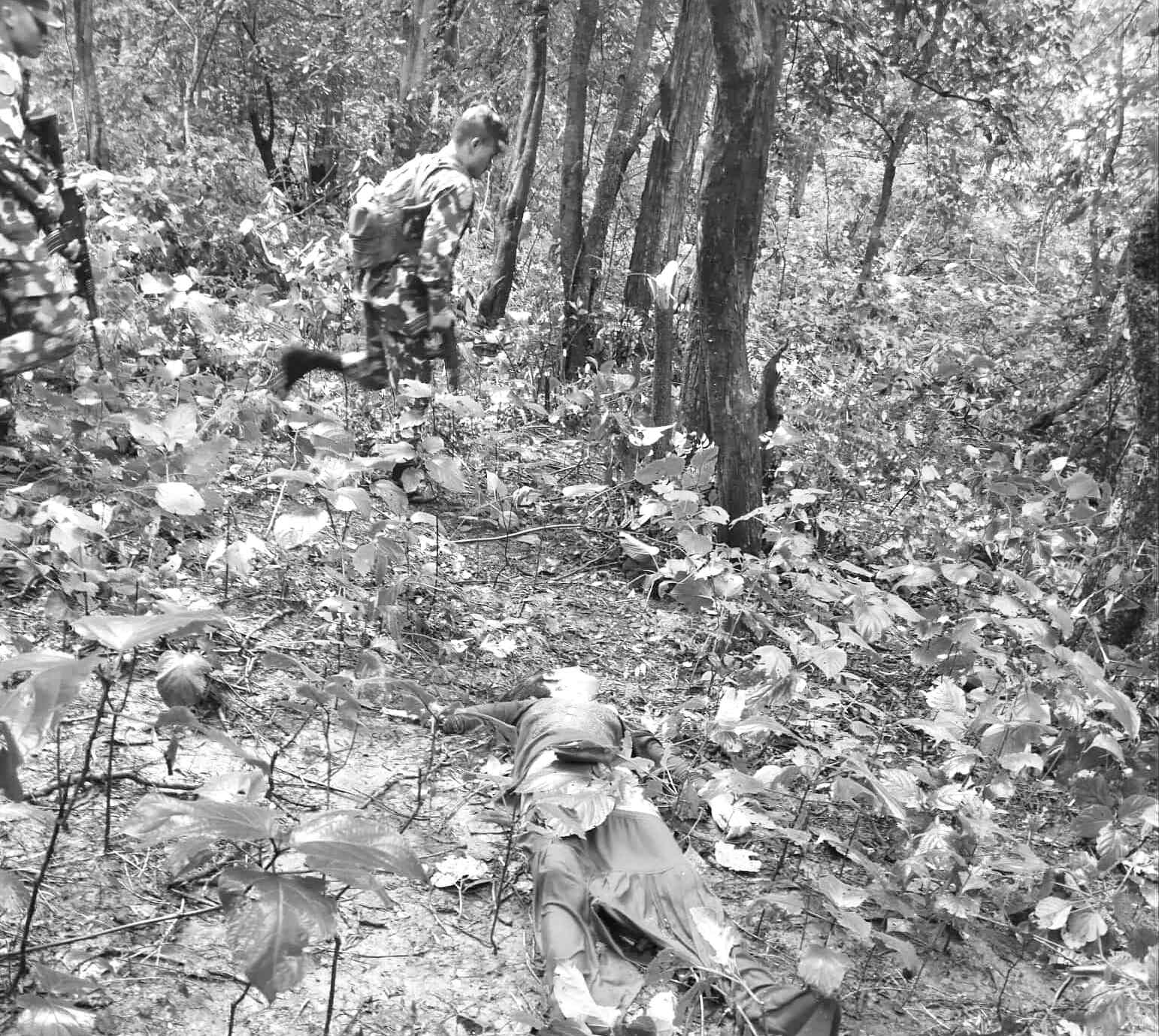 बाँकेमा बाघको आक्रमणबाट एक महिलाको मृत्यु 