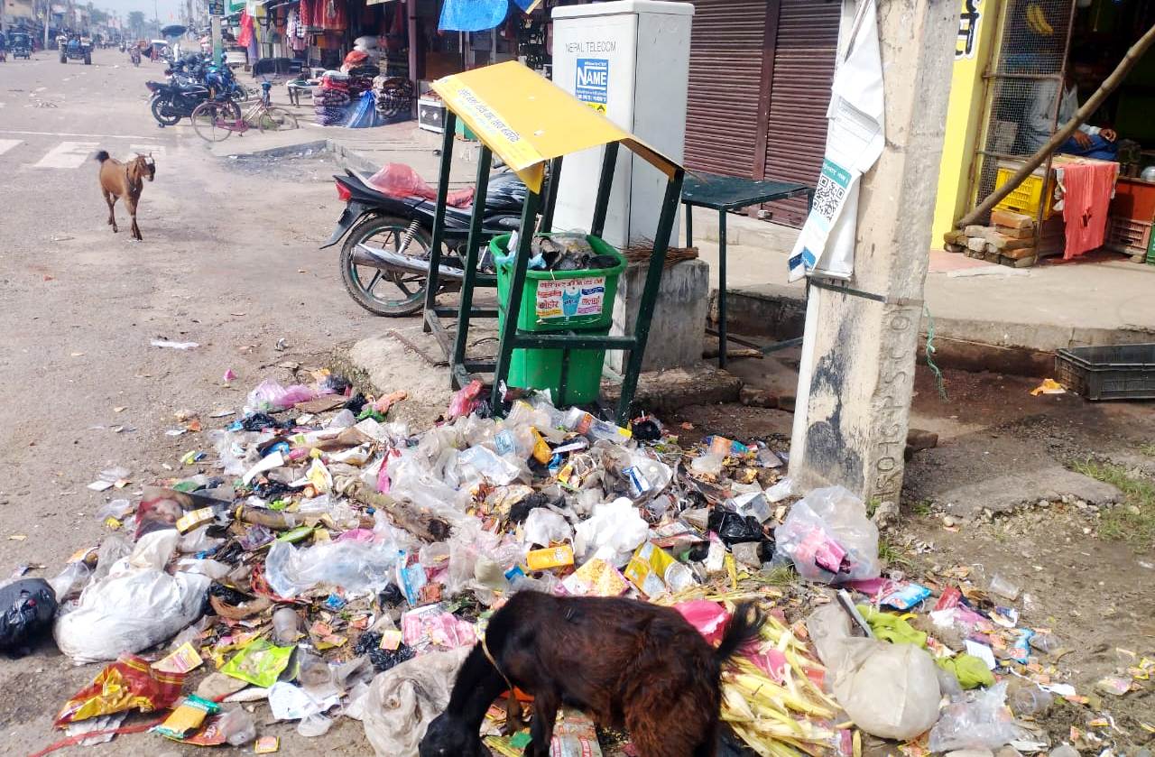 गुलरिया नगरपालिकाको फोहर नउठ्दा र्दुगन्ध बढ्दै 
