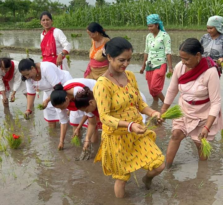 पतञ्जली योग समितिद्वारा मधुवनमा मनाईयो धान दिवस