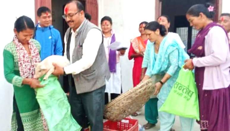 द्वन्द पीडित परिवारलाई उन्नत जातका बंगुर बितरण