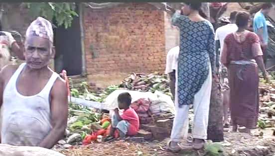 ठाकुरबाबामा घरमाथी रुख ढल्दा २ जना बालक घाईते