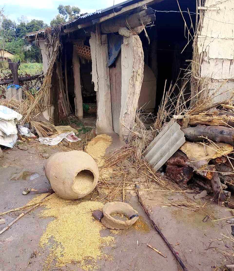 राज्यले वन्यजन्तु पीडितलाई राहत उपलब्ध गराउन नसक्दा पीडैपीडा