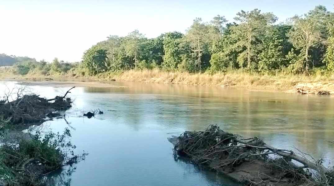 कर्णाली नदीले धार परिवर्तन गर्दा वन्यजन्तु र किसान समस्यामा 