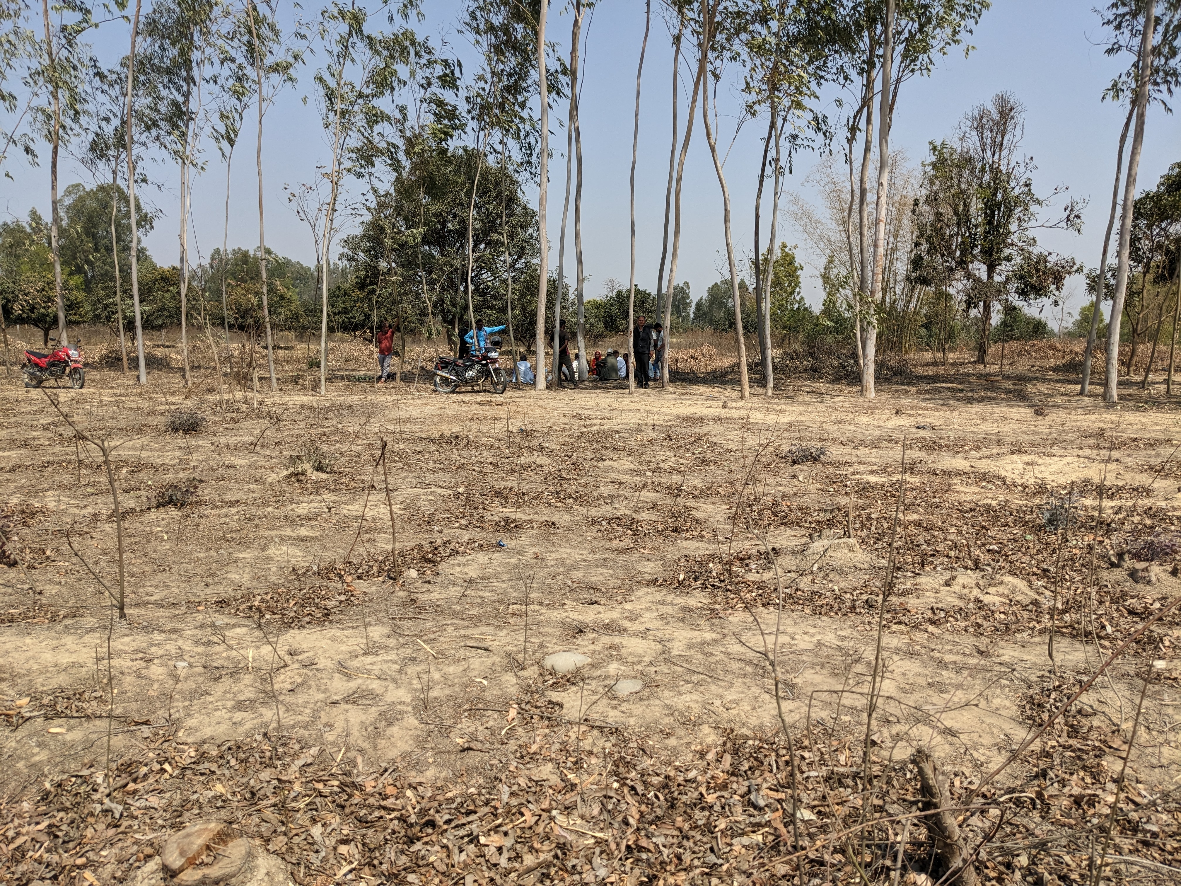 भू-माफियाहरूको चलखेल, विद्यालयको जग्गा अतिक्रमण